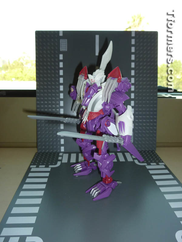 Botcon 2014 Knight 3 Pack Attendee Set  (4 of 82)